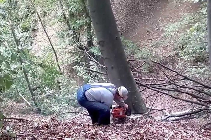 Hrvatske šume kreću u veliko zapošljavanje- otvoreno čak 200 radnih mjesta